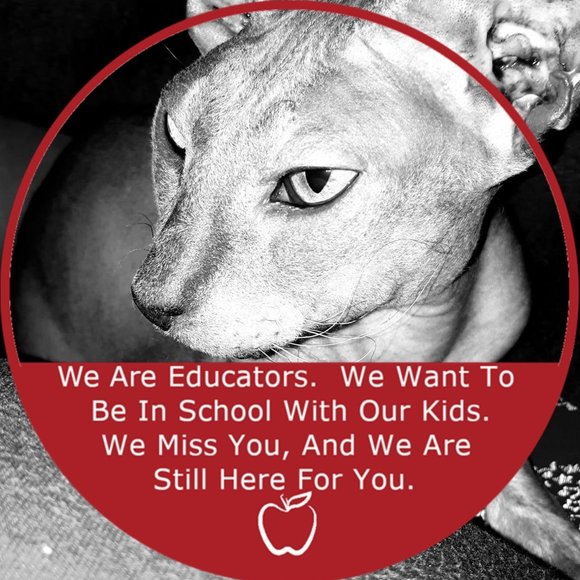 Meet your Posher, Rhya - Picture 1 of 1